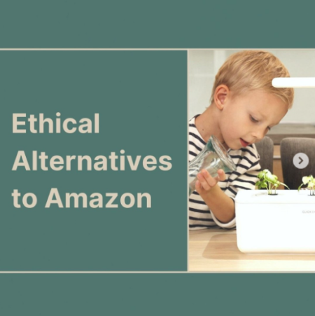 Ethical alternatives to Amazon (PC: The Sustainable Jungle)