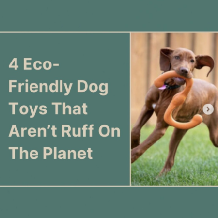 Eco-friendly dog toys (PC: The Sustainable Jungle)