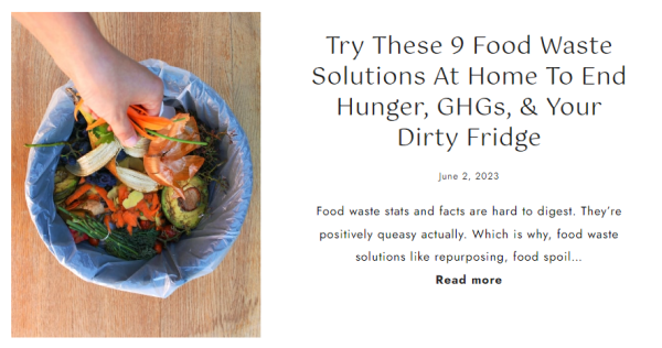 Food waste solutions (PC: The Sustainable Jungle)