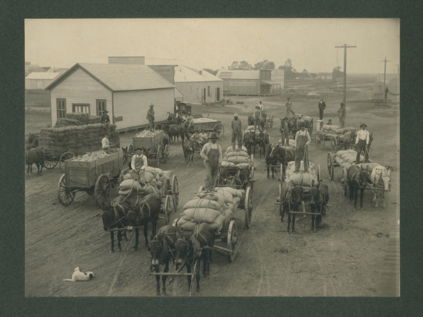 Men on wagons bringing crops to market, El Campo, TX 1910  (PC:  SMU  DeGolyer Library)